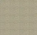 Pelican