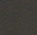 Slate