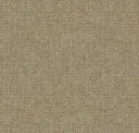 Wheat