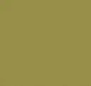 Fern