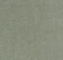Mist