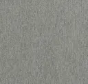 Iron