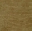 Muddy Gold