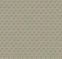 Barley