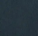 Petrol