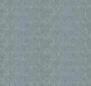 Blue Rapid