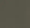 Iron