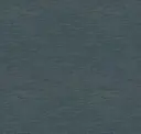 Whale