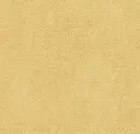 Eggshell