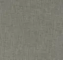 Iron