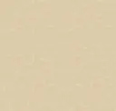 Parchment
