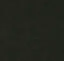 Coal
