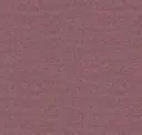 Aubergine