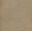 Parchment
