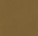 Rye