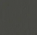 Carbon