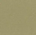 Papyrus