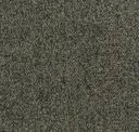 Iron