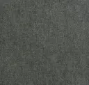 Steel