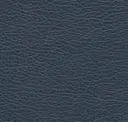 Pacific