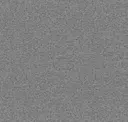 Gull