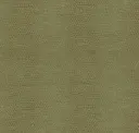 Moss