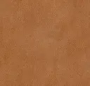 Saddle
