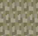 Fern