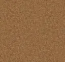 Spice