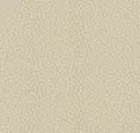 Parchment