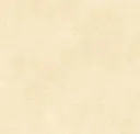 Eggshell