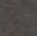 Ash