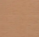 Cinnamon