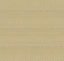 Cornsilk