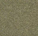 Hedge