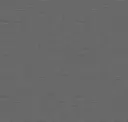 Coal