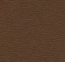 Arabica