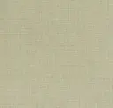 Putty