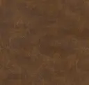 Mocha