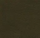 Olive Oil