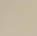 Parchment