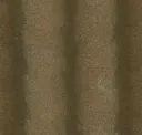 Parsley