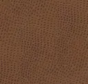 Rust