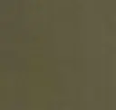 Leek