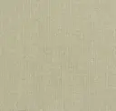 Putty