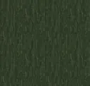 Jungle
