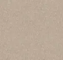 Desert