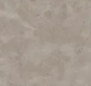 Oyster