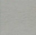 E4029/145