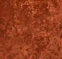 V2798/140